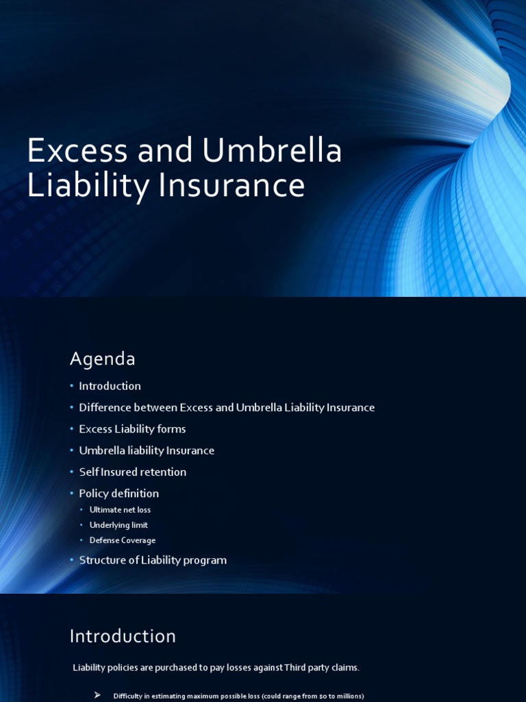 Excess and Umbrella Liability Insurance PDF Liability Insurance