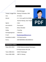 Curriculum Vitae