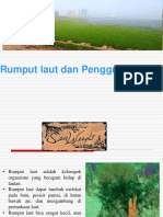 Bioteknologi - Rumput Laut