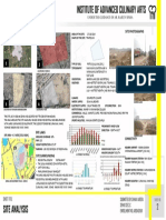 Site Analysis