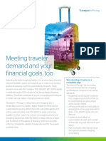 brochure--airlineIT--meeting-traveler-demand-and-your-financial-goals--e-pricing.pdf