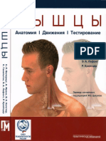 Valerius Klaus-Peter - Myshtsy Anatomia Dvizhenia Testirovanie PDF