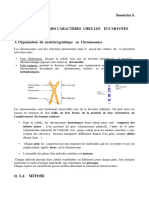 Mitose Meiose PDF