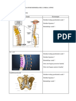 Format Laporan Biomekanik Lumbal Spine