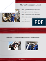 Inspecccion Visual ILOG.pdf