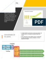 ciencias