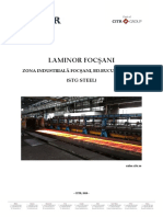 Prezentare STG Steel PDF