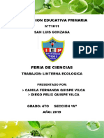 Institucion Educativa Primaria