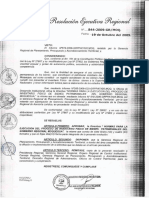direct_004_2009 Directiva de Inventario de bienes.pdf