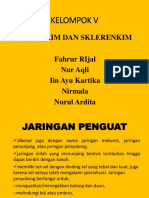 Jaringan - Penguat - Tumbuhan (1) - 1