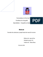 Referat_formele_de_salarizare_și_piața_forțelor_de_muncă[1].docx