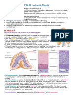 PBL 12 - Adrenal Glands