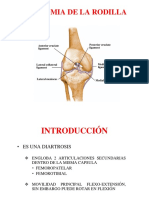 Diapositiva N°4 Anatomia y Mecanica de La Rodilla