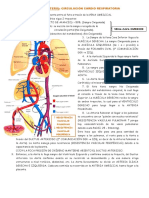 FISIOLOGÍA NEONATAL.docx