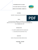 PROYECTO AMBIENTAL DE GESTION.docx