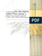 3_REALIZACION_DEL_INJERTO_SOBRE_PINUS_PINEA.pdf