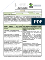 Formato Diario de Campo