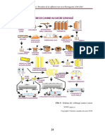 Procéssus de Fabrication de Sucre