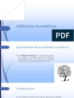 Importancia de Los Metodos Numericos