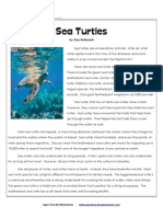 6th Sea Turtles - GREEN