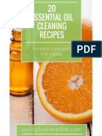 20 cleaning_recipe_guide.pdf