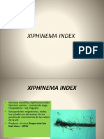 Xiphinema index y GFLV