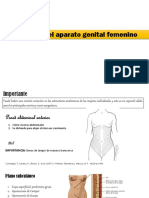 1. Anatomía del aparato genital femenino