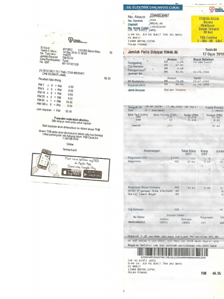 TNB Bill | PDF
