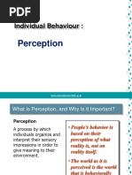 Individual Behaviour - Perception