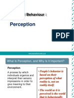 Individual Behaviour - Perception