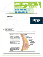 Los Mamíferos Caracteristicas para Quinto de Secundaria