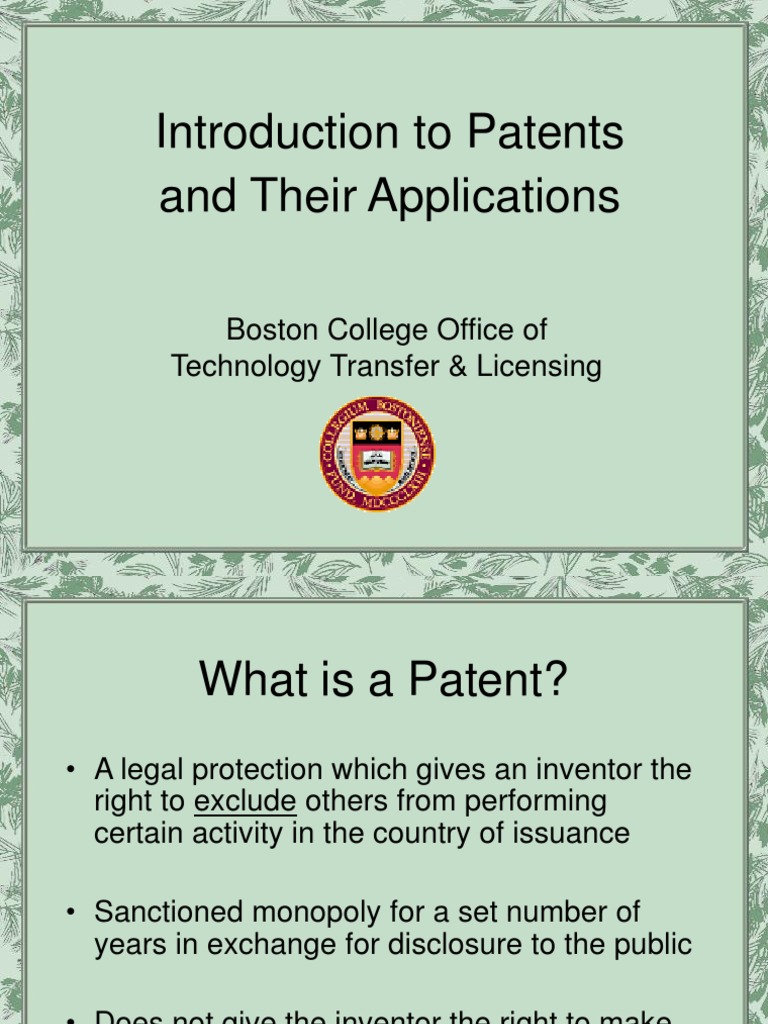 Overview of Patent Basics and Process | PDF | Provisional Application ...