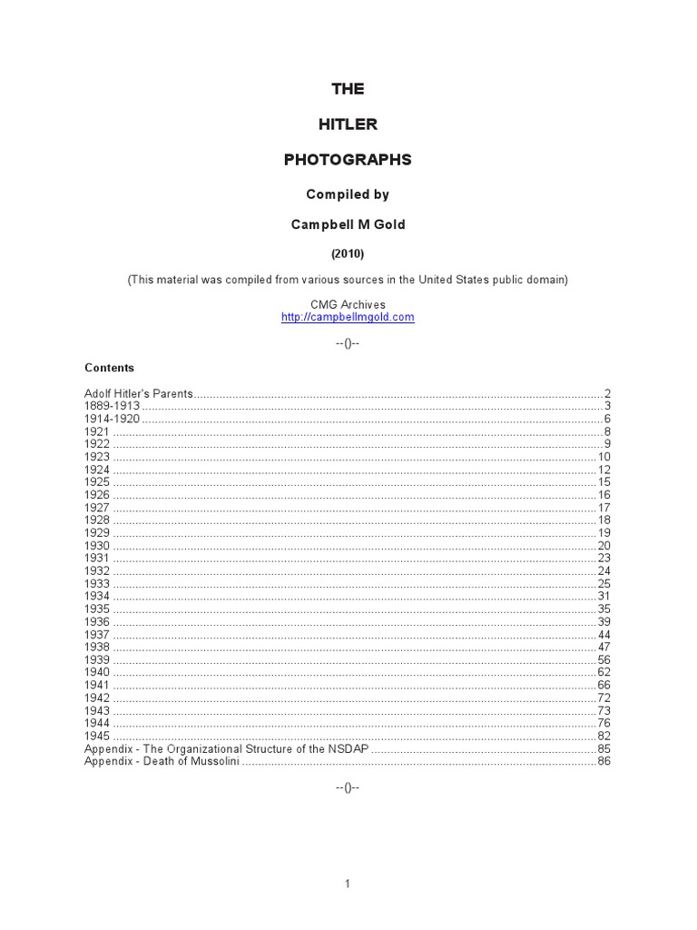 Adolf Hitler visual data 5