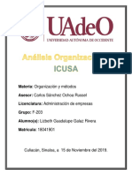 Análisis Organizacional.docx