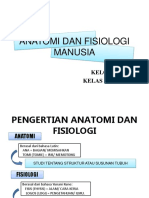 Anatomi Dan Fisiologi