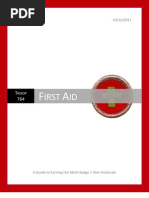 Download First Aid A Guide to Earning the Merit Badge by otousan SN44327223 doc pdf