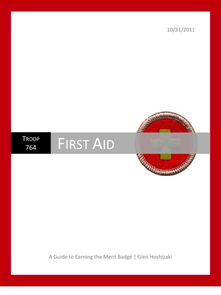 First Aid A Guide To Earning The Merit Badge PDF Cardiopulmonary