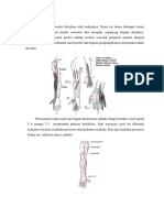 Anatomi, Definisi, Prognosis