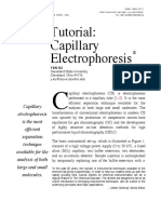 Capillary Electrophoresis Tutorial