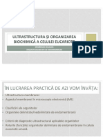 LP05_Membrana + organite delimitate de endomembrana_site.pdf