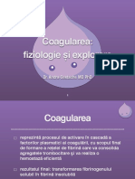 Coagularea