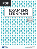 Amboss Lernplan F20