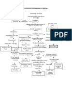 Pathway Persalinan Normal