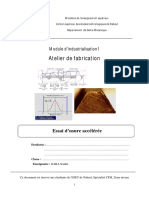 TP2 industriallisation.pdf