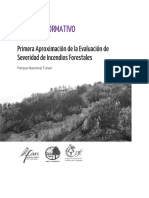 Evaluacion de Severidad de Fuego - PNT - 2019 v2