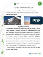 ECOSISTEMA GUIA 1.docx