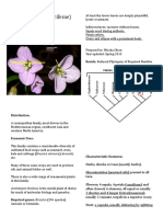 Brassicaceae Notes