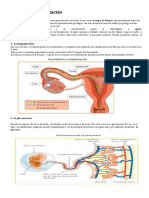 Fecundación y Gestación