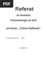 Febra Galbenă