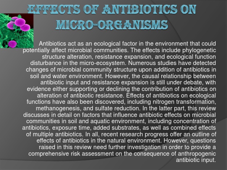 Impact of Antibiotics on Microbial Ecology | PDF | Science & Mathematics